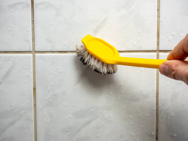 Best Professional Mold Removal  in Lincoln, CA