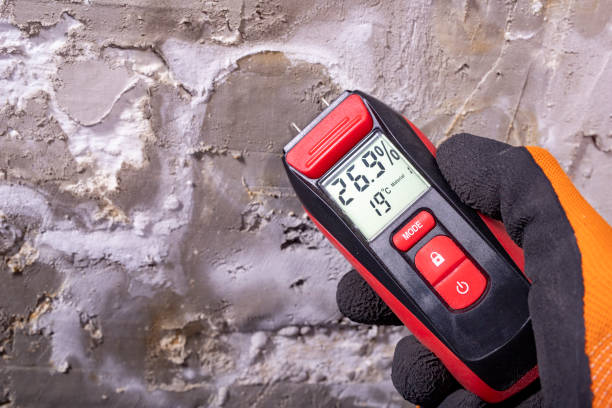 Best Mold Removal Near Me  in Lincoln, CA