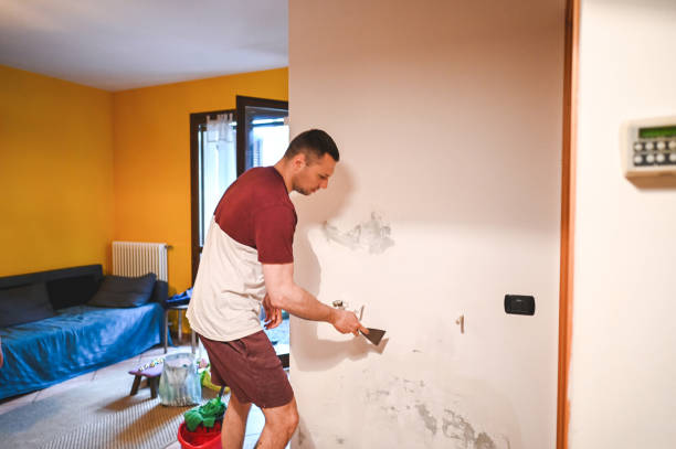 Best Fast Mold Removal  in Lincoln, CA